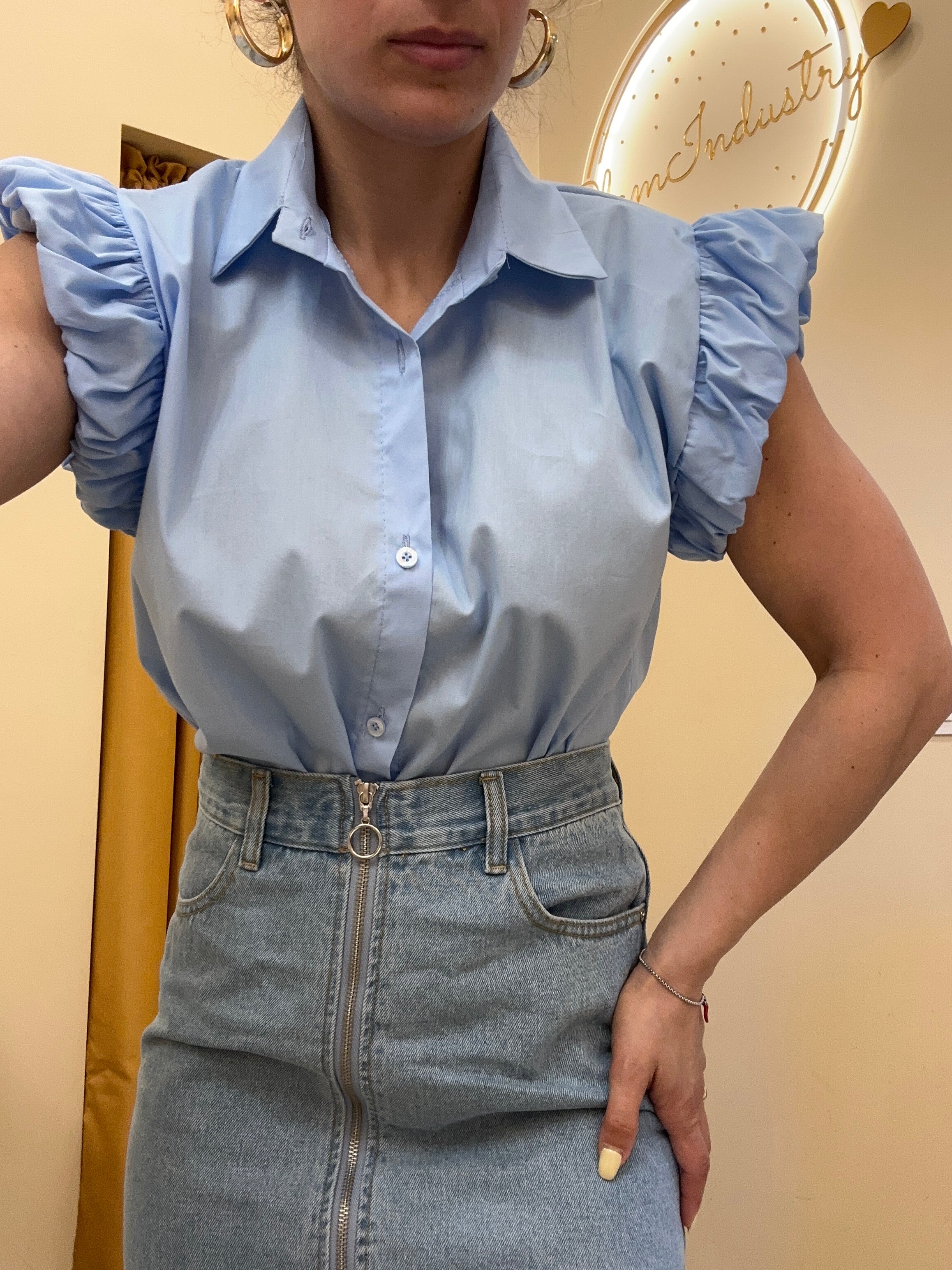 Camicia ali particolari