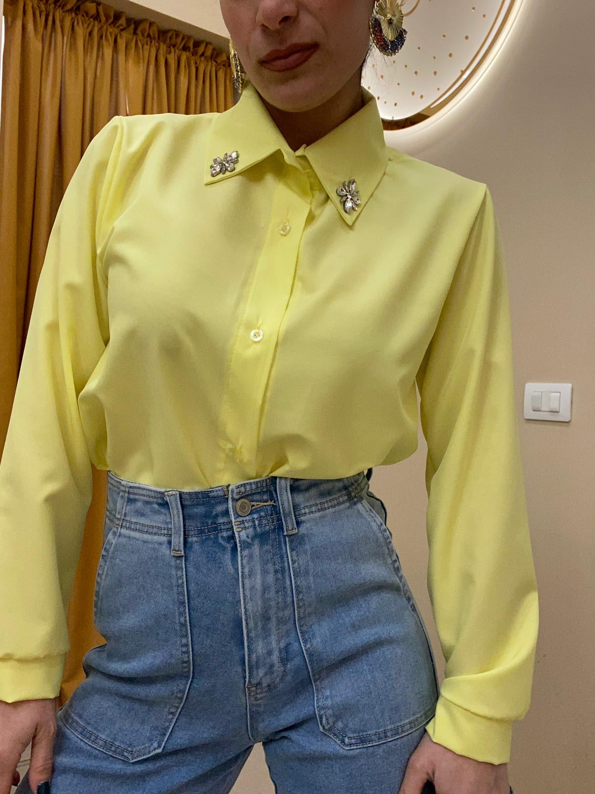 Camicia gioiello sul colletto
